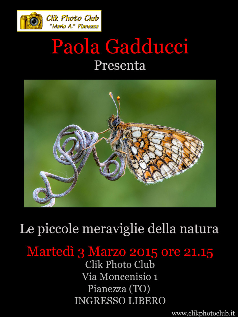 Gadducci Marzo 2015